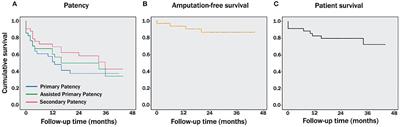 Immunological Aspects Involved in the Degeneration of Cryopreserved Arterial Allografts